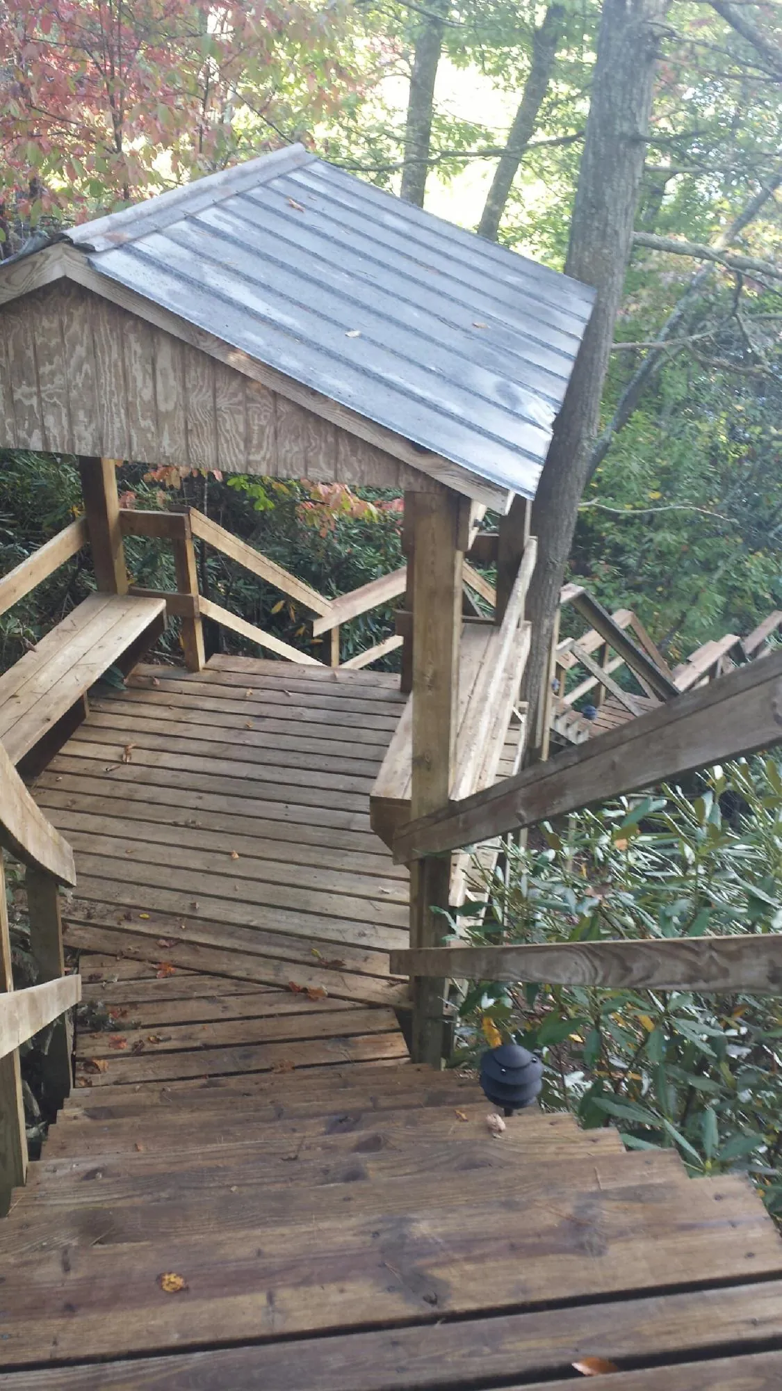 Metal roofed shelter over wooden steps on a wooded walkway — Skylight Repair & Installation work by our crew in Hassell