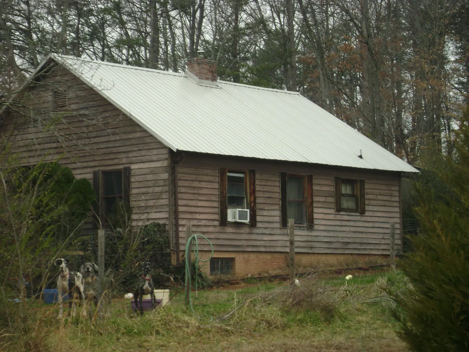 White metal roof on an old wood sided farmhouse, from a Asphalt Shingle Roof Repair job in Hassell